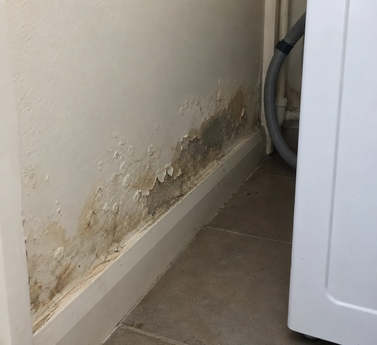 Blistered wall behind a washing machine in a Dallas laundry
