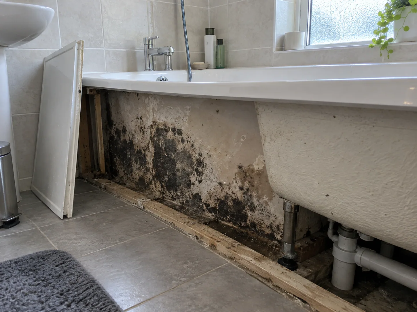 Black mould on plaster behind a removed bath panel in Dallas