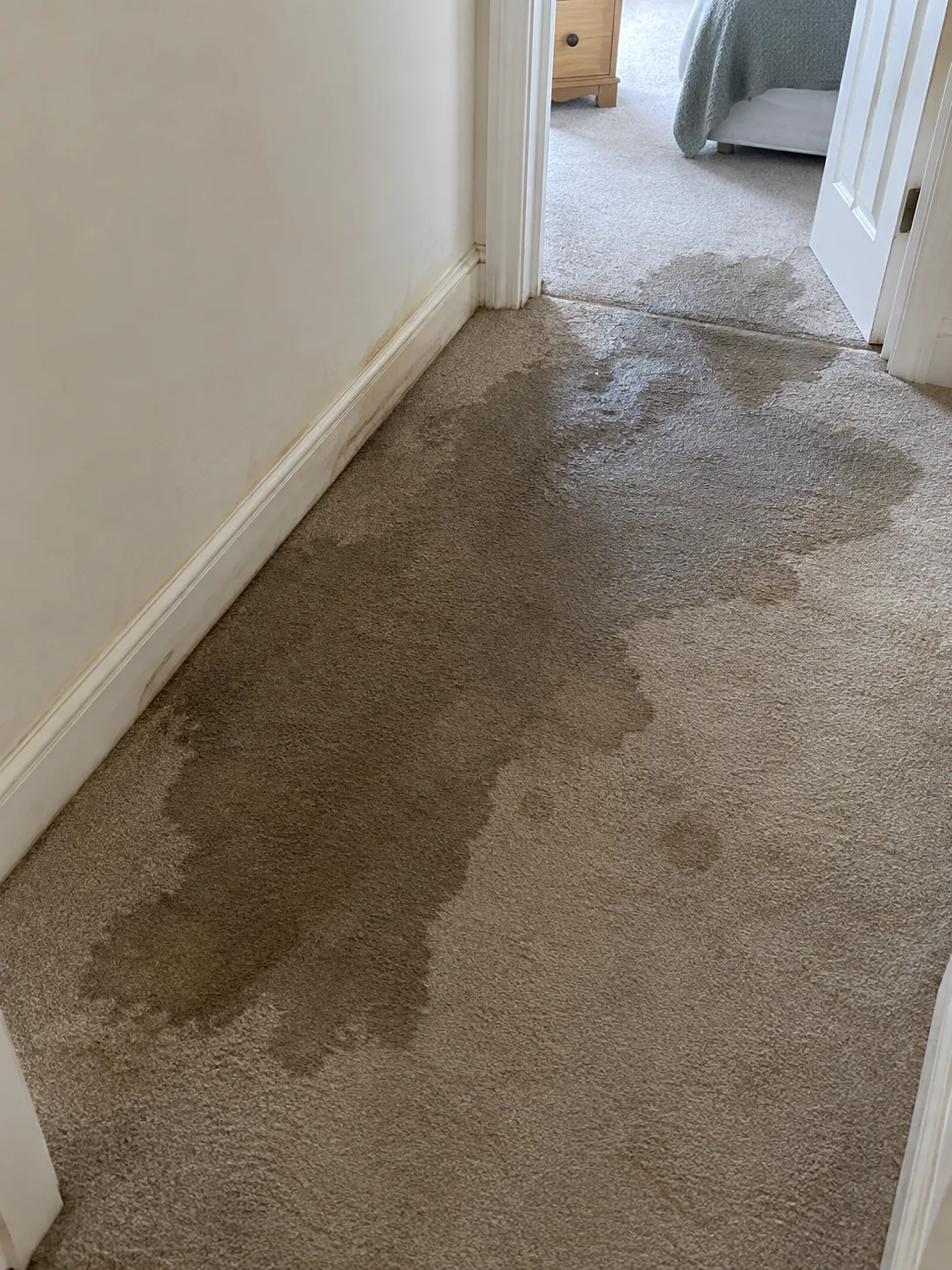 Wet patch spreading across a hallway carpet in a Dallas home