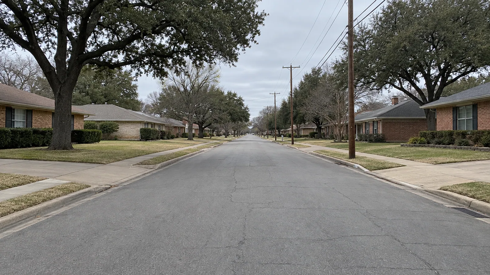 Quiet residential street lined with oaks in Dallas, Texas