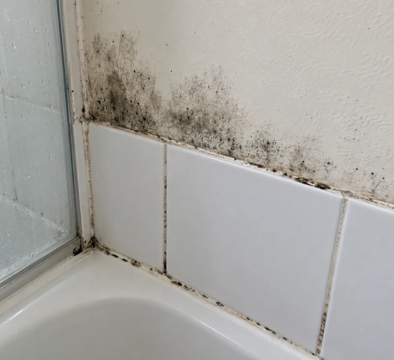 Mould growing along shower sealant in a Dallas bathroom