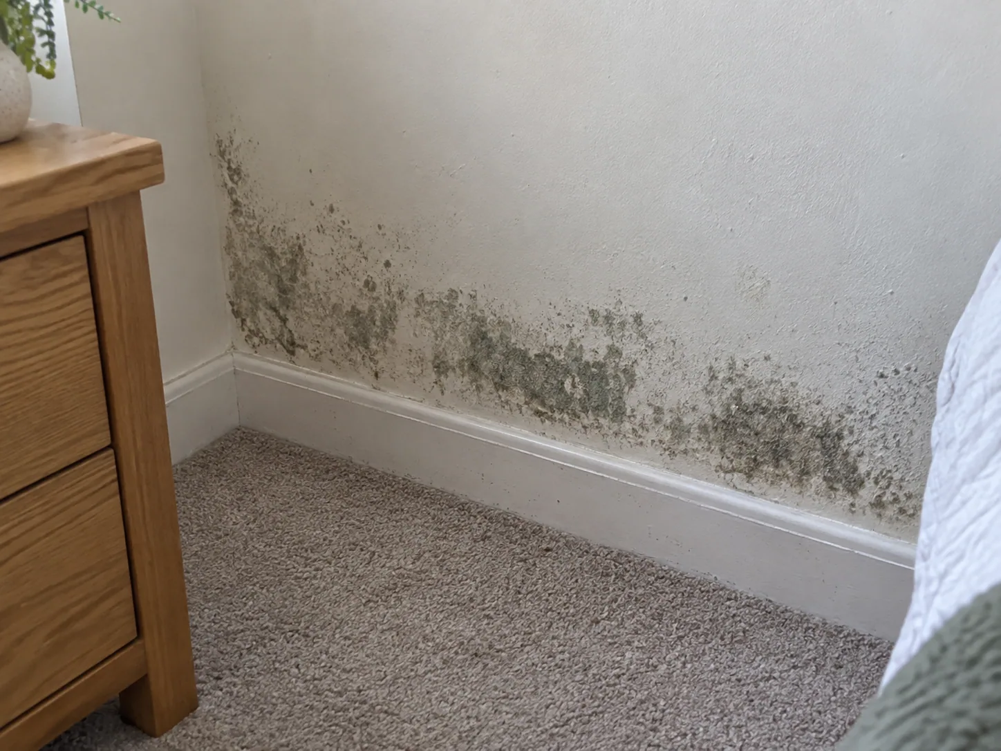 Mould discovered behind a bedside table in a Dallas bedroom